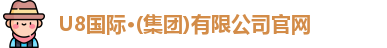 U8国际